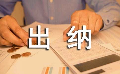 公司出納員個(gè)人工作總結(jié)