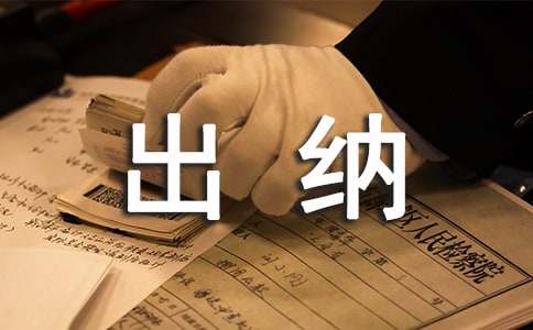 出納工作總結(jié)及工作計劃