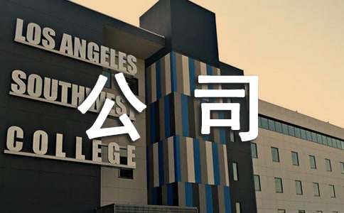 公司年度總結(jié)報告