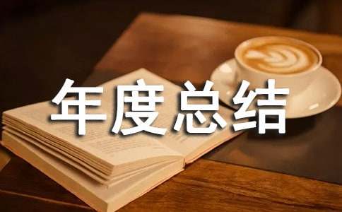 個人年度總結(jié)與計劃
