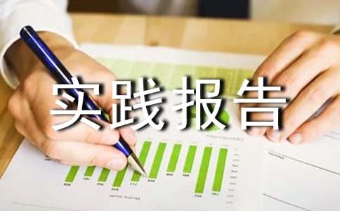暑期做實(shí)踐報(bào)告