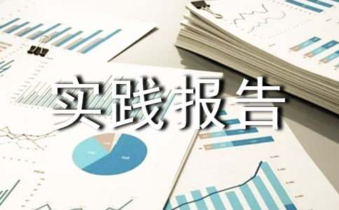 養(yǎng)老院實踐報告總結