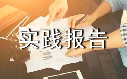 高中生社會實踐報告