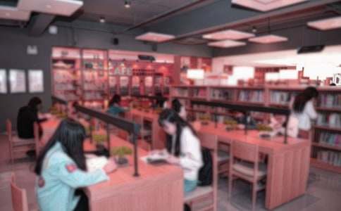 圖書管理員工作總結(jié)