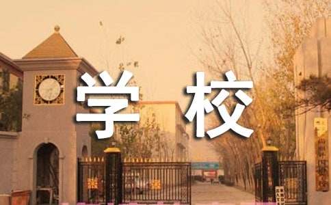 學(xué)校會計述職報告