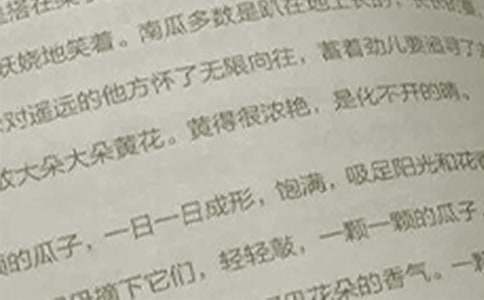 小學(xué)六年級(jí)語(yǔ)文教學(xué)工作計(jì)劃