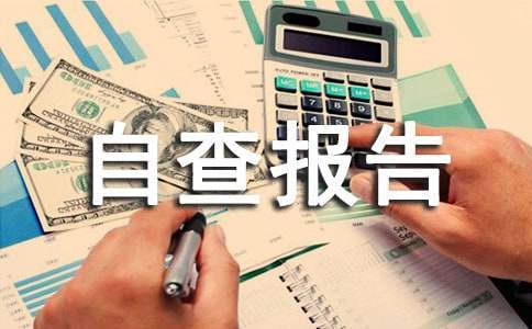 中學安全工作自查報告