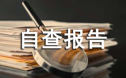 工作作風(fēng)個(gè)人自查報(bào)告