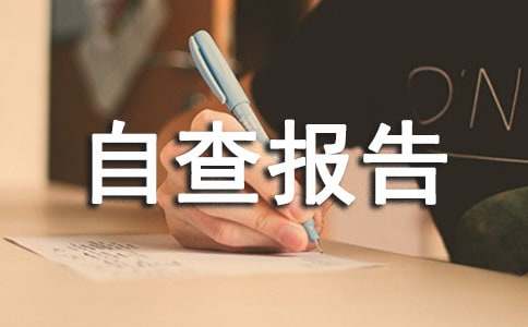 檔案自查報告